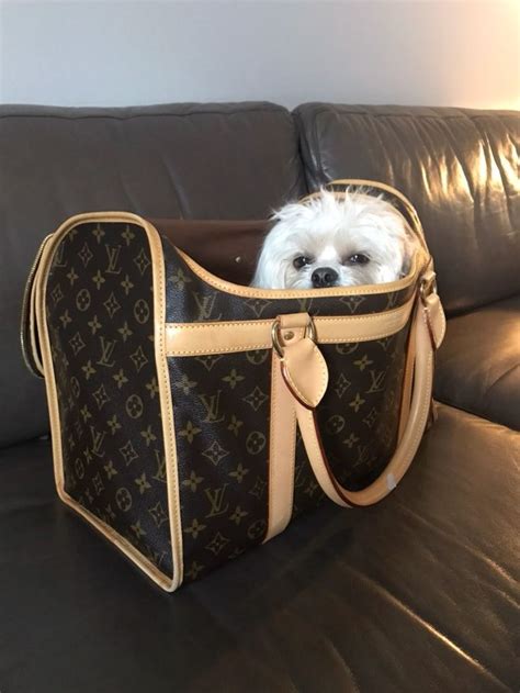 louis vuitton dog jacket|louis vuitton dog carrier 50.